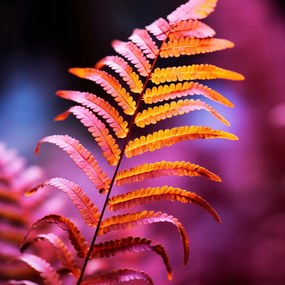 Poszter 60x60cm Őszi tűz