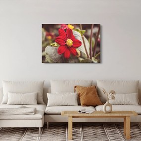 Virág képe (90x60 cm)