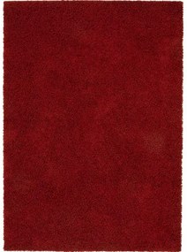 Shaggy szőnyeg Swirls Dark Red 133x190 cm