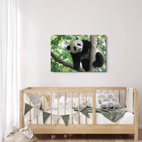 Kép - Panda a fán (90x60 cm)