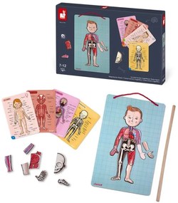 Janod - BODYMAGNET mágneses emberi test puzzle játék