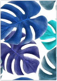 Poszterek 70x100 Monstera Levelek Kék