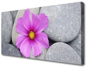 Vászonfotó Spa virág növény 100x50 cm
