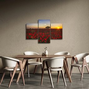 Pipacsos rét képe (90x60 cm)