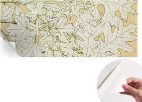 Design fali fotótapéta Öntapadós falevelek 250x104 cm