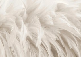 Fotótapéta flizelin toll 3D hatás gyönyörű kompozíció ragasztó ingyen