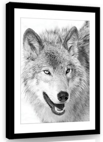 Vászonkép, Farkas, fekete-fehérbe 60x80 cm méretben
