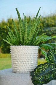 Virágtartó Fehér 16 cm-es tengerész zsinór