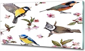 Fotó-üvegkép Madarak cseresznyevirágok 125x50