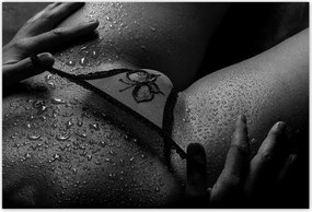 Poszterek 155x105 Aktok Meztelenség Szerelem Fotó