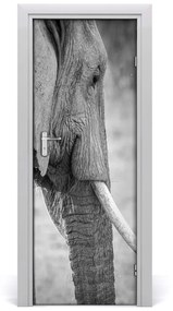 Poszter tapéta ajtóra elefánt 75x205 cm