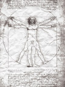 Fotótapéta Vitruvius ember Da Vinci remekmű 206x275 +ragasztó