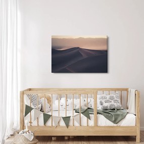 Kép - Homokdűnék (90x60 cm)