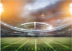 Üveg kép - Stadium (70x50 cm)