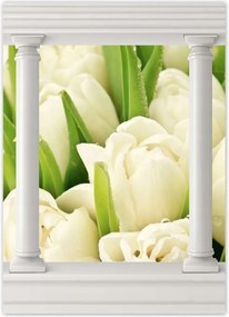 Poszterek 50x70 Finom tulipánok