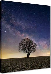 Vászonkép 40x50 Magányos fa és csillagok