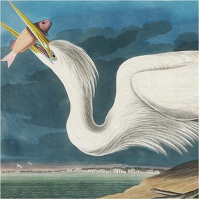 Flizelin fotótapéta Flizelin Design Madár halakkal 250x250 Ragasztó