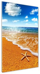 Üvegfotó Starfish a strandon osv-110094883
