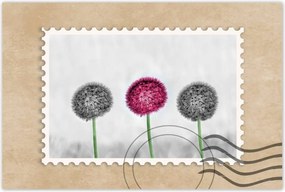 Poszter 60x40 Rózsaszín pitypang virág