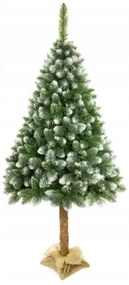 Karácsonyfa törzsön 220 cm fenyő