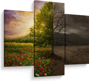 Kép - Életciklus (90x60 cm)