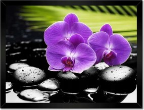 Poszterek keretben 40x30 Lila orchideák