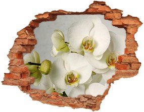 3d-s lyuk vizuális effektusok matrica Fehér orchidea nd-c-67521473