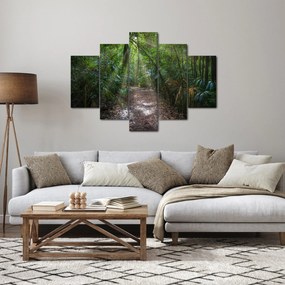Kép - Napsugarak a dzsungelben (150x105 cm)