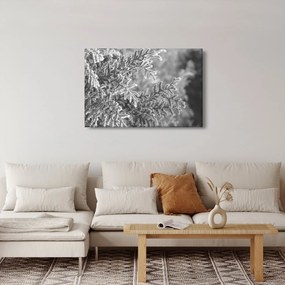 Kép - Lucfenyő erdő (90x60 cm)