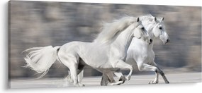 Kép - Fehér lovak télen (120x50 cm)