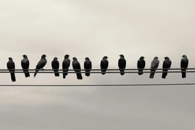 Poszter 30x20cm Konferencia a Magasságban