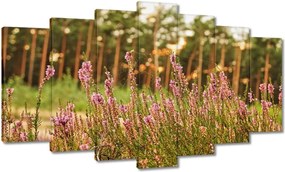 Vászonkép 140x80 Pókhálóval fonott hanga