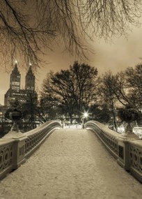 Poszter 50x70cm Central Park Bow Bridge Manhattan panorámával, Assaf Frank