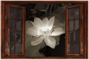 Poszterek 90x60 Lótusz Lótuszvirág