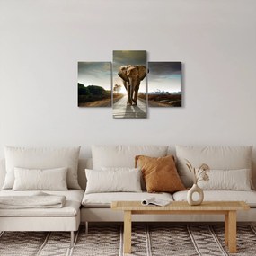 Elefánt képe (90x60 cm)