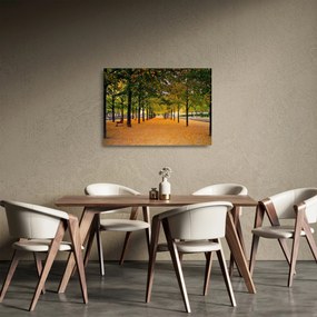 Egy kép az őszi fák sikátorából (üvegen) (70x50 cm)