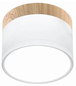 Candellux LED Mennyezeti lámpa TUBA LED/9W/230V fehér/bézs CA0272