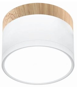 LED Mennyezeti lámpa TUBA LED/9W/230V fehér/bézs