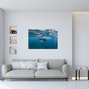 Kép - Delfin a felszín alatt (90x60 cm)