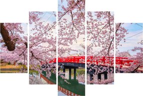 Kép - Hirosaki, Japán (150x105 cm)