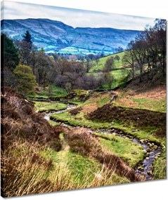Vászonkép 50x50 Patak a hegyekben