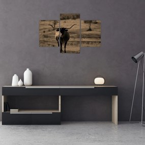 Kép - Texasi tehén (90x60 cm)