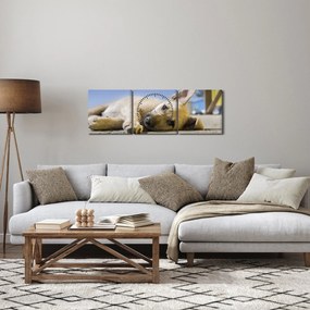 Fekvő kiskutya képe (órával) (90x30 cm)