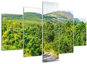 Kép - Babi Hora, Lengyelország (150x105 cm)