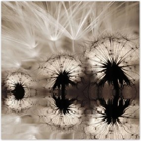 Poszterek 100x100 Pitypangok szépia papírsárkányok