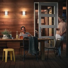 Philips 17323/47/16 - Kültéri fali lámpa MYGARDEN PYTHON 1xLED/6W/230V IP44