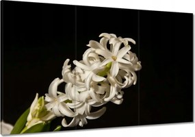 Vászonkép 120x80 Fehér virág