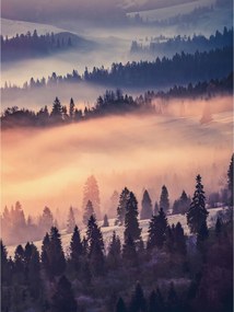 Fotótapéta Hegyek a ködben természet harmónia reggel az erdőben 206x275 +ragasztó