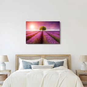 Levendula mező képe (90x60 cm)