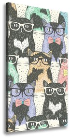 Vászonkép Macskák szemüveg ocv-58024892